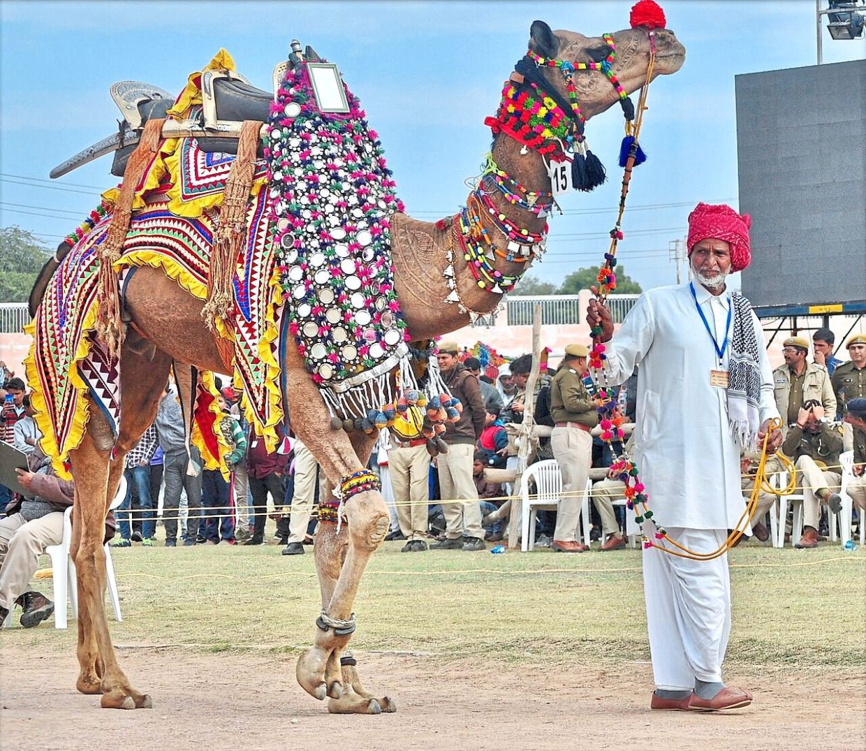 Camels take part in beauty contest, showcasing their beautiful decorations. — Meetu1980/Wikimedia Commons