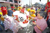 Lions stir to life for lunar dawn
