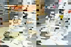 From AI companions to neural earbuds: The future unveiled at CES 2026