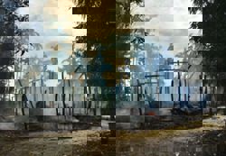 Landmark Myanmar Rohingya genocide case to open at UN's top court