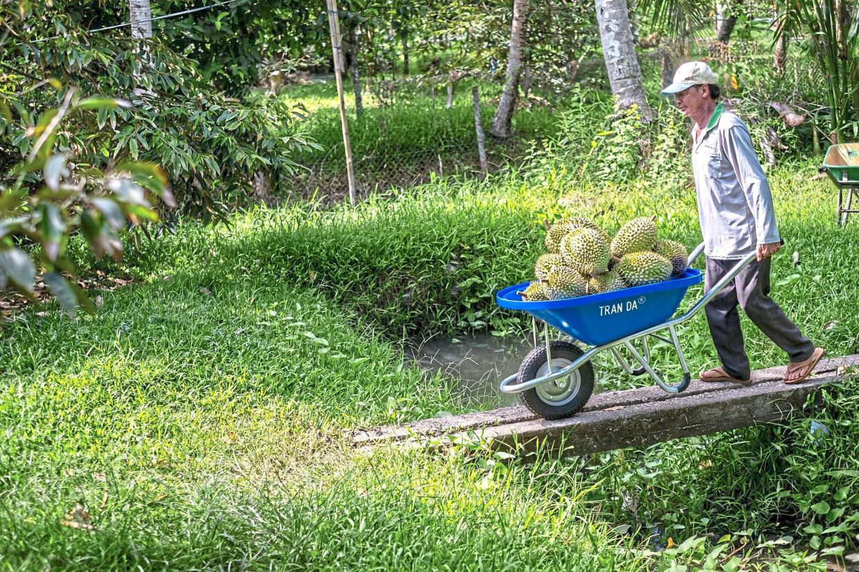 Vietnam to roll out farm-to-table traceability system by year end
