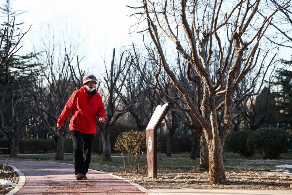 'Are You Dead?': Chinese app for solo dwellers goes viral and is a big favourite with singles