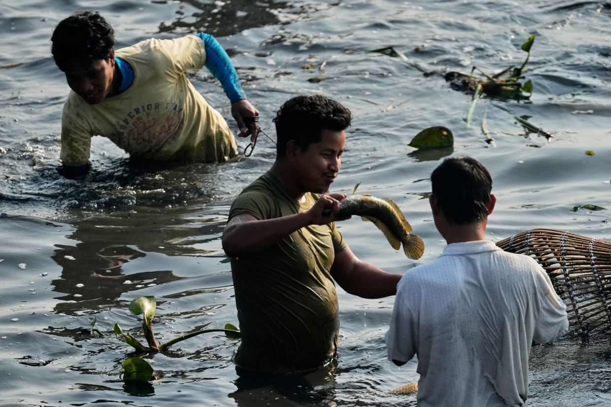A villager catches a fish as he participates in a community fishing as part of Bhogali Bihu celebrations, which mark the end of the harvest season at Jalikhora village east of Guwahati, India, Tuesday, Jan 13, 2026. -- AP Photo/Anupam Nath