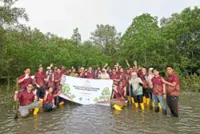 Powering up PD mangrove restoration