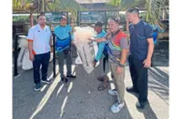 Discarded nets turn into income source for fishermen in Sepang, Kuala Langat