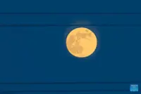 Research in China suggests causes of moon's two different 'faces'