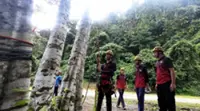 Sabah GLC takes on in-house tree climbers to boost conservation work