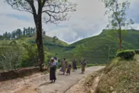 Sri Lanka seeks Chinese aid to rebuild after deadly cyclone