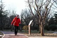 'Are You Dead?': Chinese app for solo dwellers goes viral and is a big favourite with singles