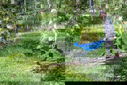 Vietnam to roll out farm-to-table traceability system by year end