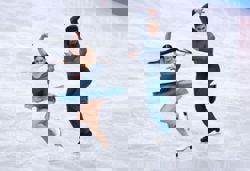 Figure skating-French ice dancers lead European championships in Sheffield