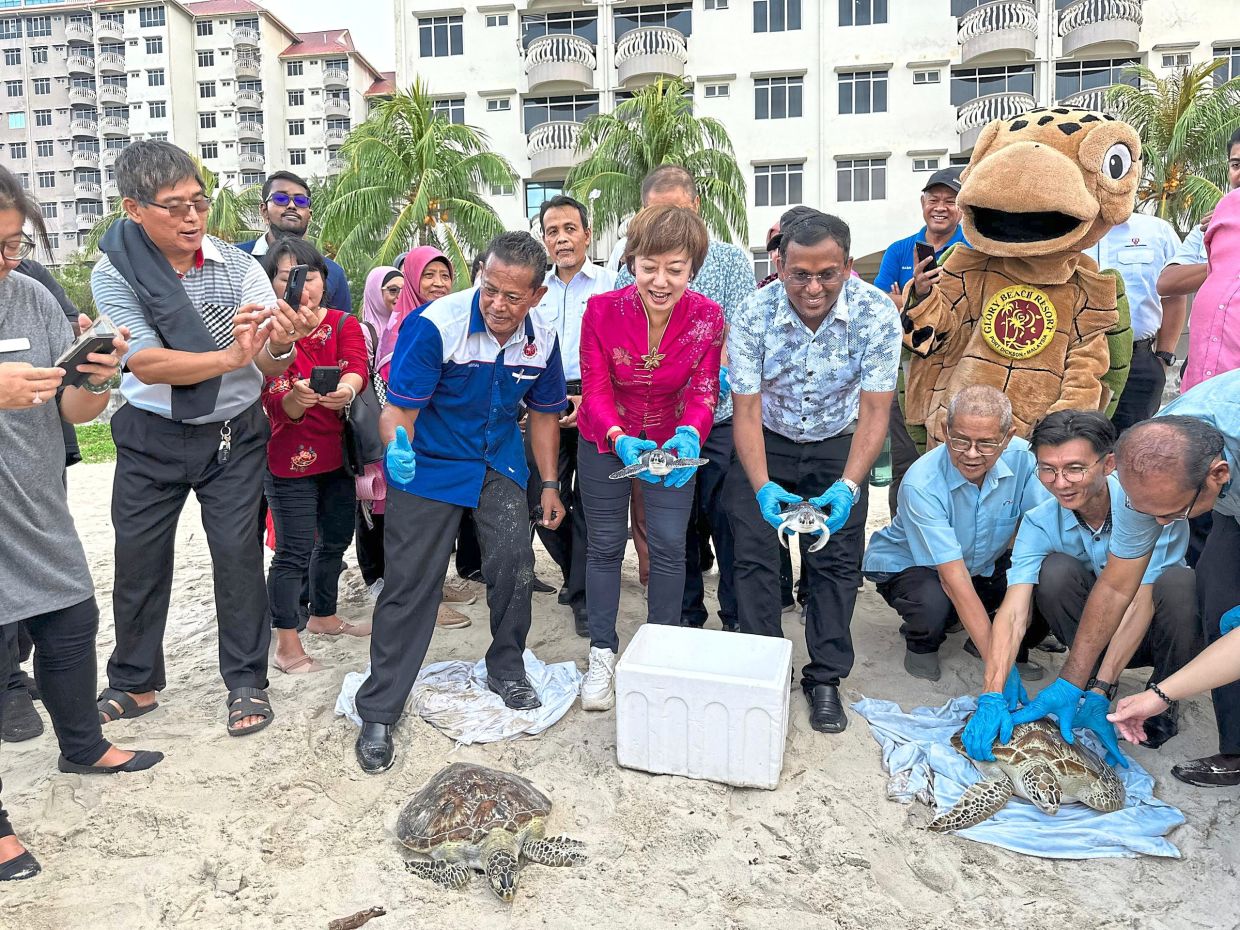 Tan releasing turtles into the sea at the Glory Beach Resort Turtle Hatchery and Release Centre in Port Dickson. Her support for the conservation project highlights the state’s ongoing efforts to incorporate eco-tourism into its development plans.