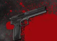 Kelantan cops arrest brothers, seize homemade firearms