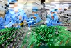 Trump's pick as Vietnam envoy sets sights on trade gap as Hanoi's surplus with US tops China's