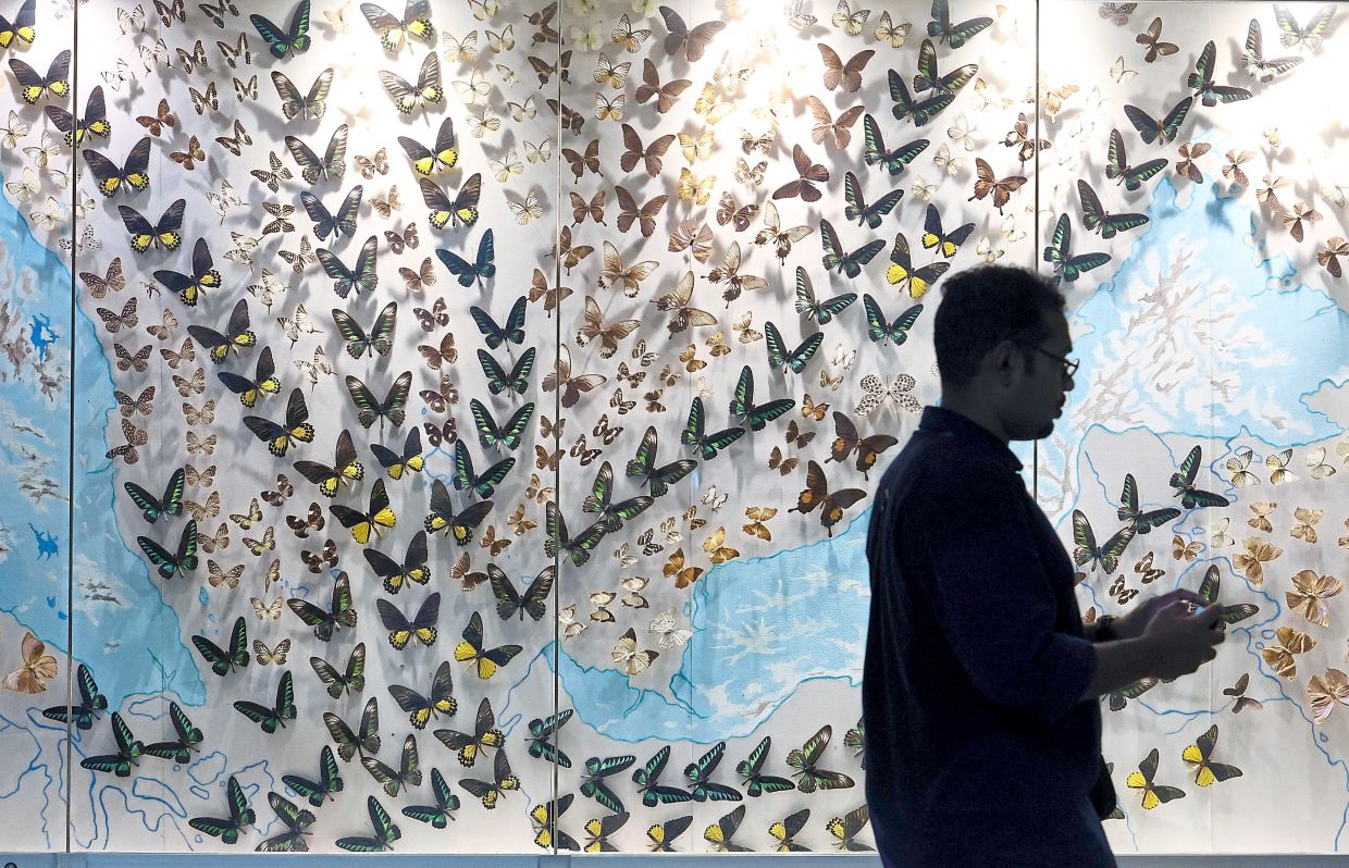A visitor framed by myriad lepidoptera species at Kuala Lumpur Butterfly Park.