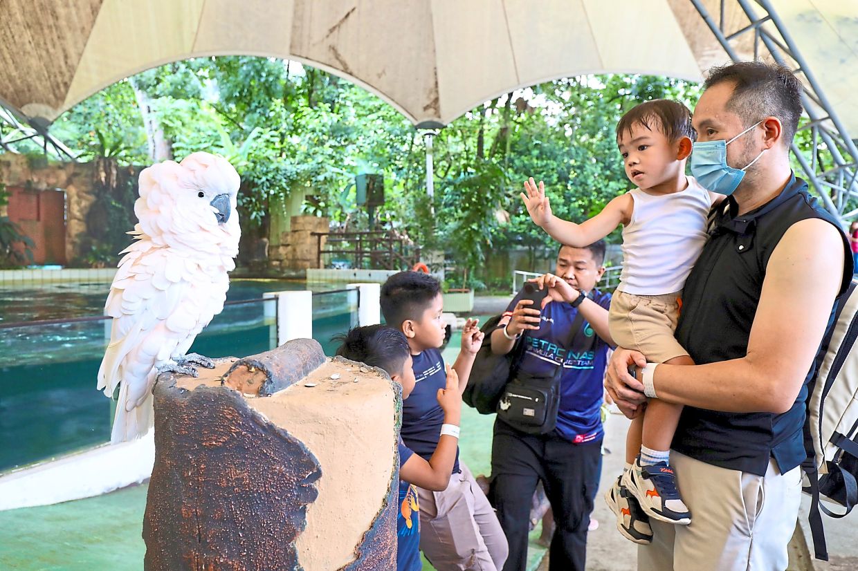 Hotspots abuzz with holiday fun