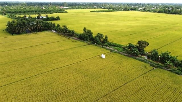 Achieving net-zero emissions by 2050 is a political mission of Vietnam: PM