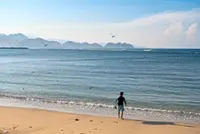 Jakarta sees minimal fallout from tariff hike