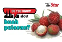Do you know ... about buah pulasan?