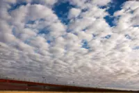 US pressing Mexico to allow US forces to fight cartels, NYT reports