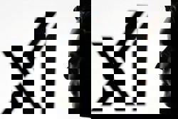 California to investigate xAI over deepfake content, officials say