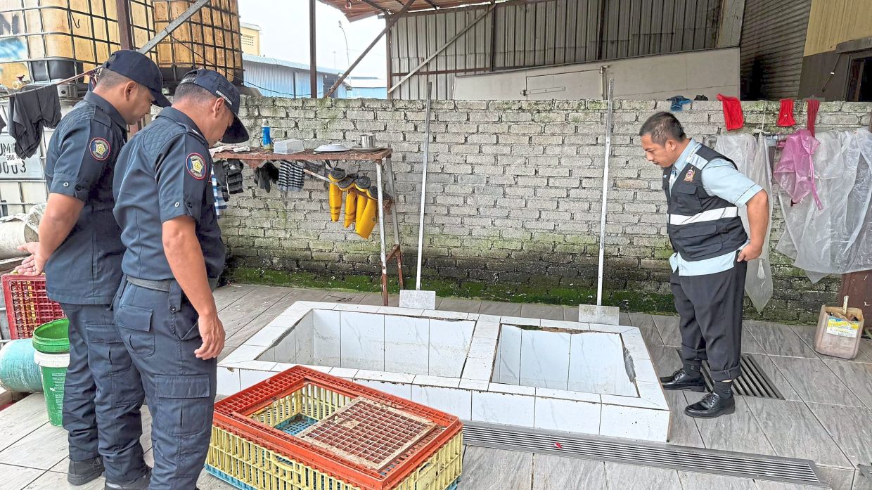 Klang slaughterhouse fined for pollution