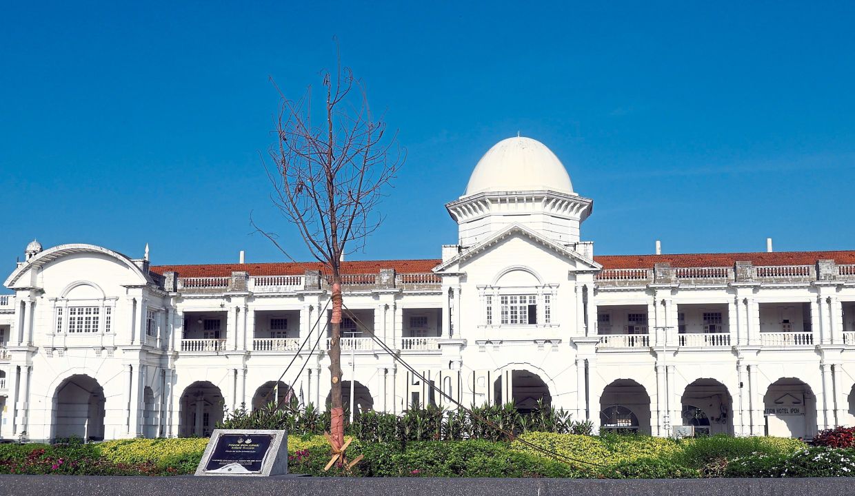 Ipoh tree may be uprooted from Railway Station Square