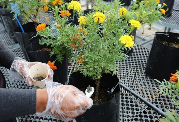 IWK’s biosolids fertiliser gets green light under Shariah law