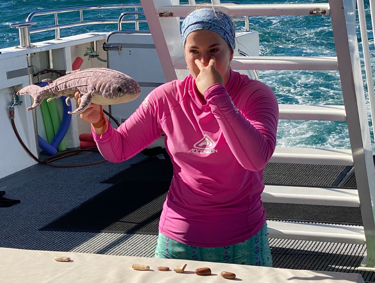 Using a stuffed toy, Georgia Clements explains the rules, beginning with, always keep your eyes open. — Photo: Stefan Weißenborn/dpa