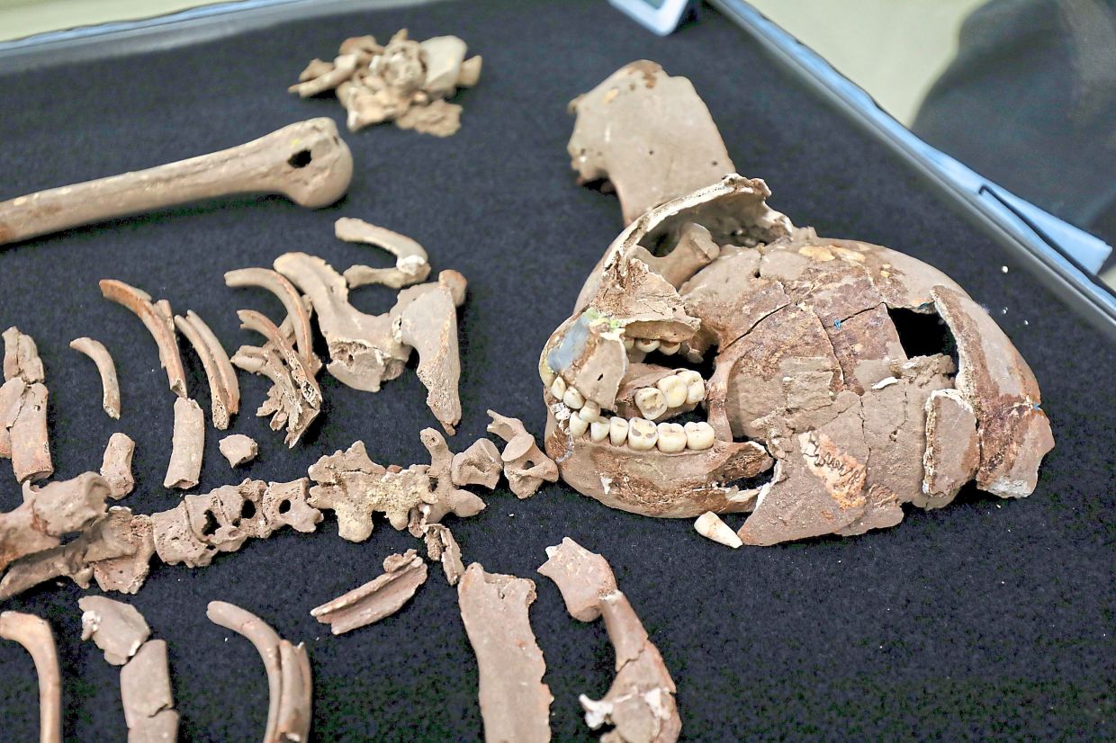 A closer examination of the remains, which have been cleaned and studied using non-destructive imaging methods to ensure their optimal preservation. Photo: The Star/Leong Wai Yee