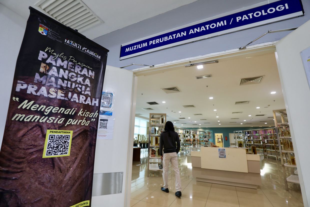 A view of the Museum of Anatomy and Pathology, Faculty of Medicine, UKM. Photo: The Star/Leong Wai Yee