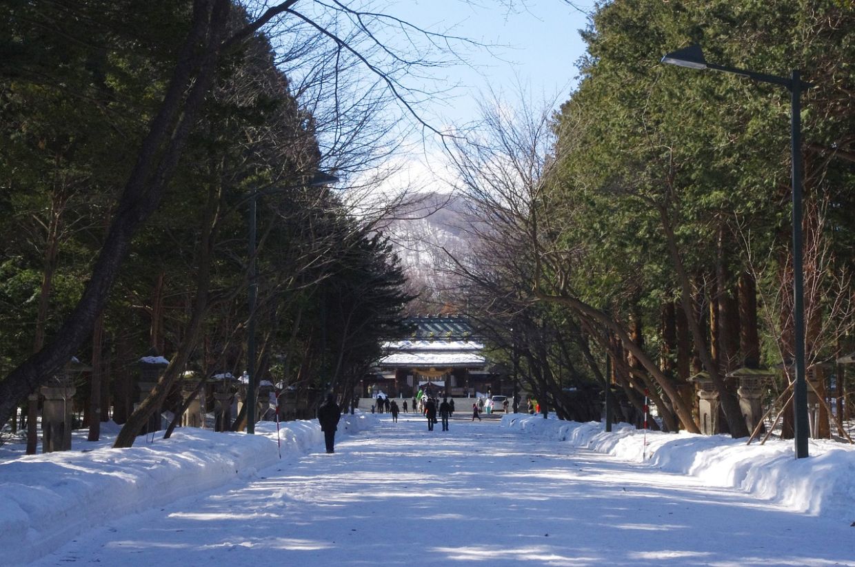 Sapporo: The cold that feeds you