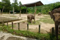 Allocation insufficient to address rising cost of maintaining Lok Kawi Wildlife Park, says Sabah Tourism Minister