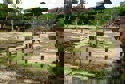 Allocation insufficient to address rising cost of maintaining Lok Kawi Wildlife Park, says Sabah Tourism Minister