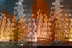 '28 Years Later: The Bone Temple' review: Wonderfully taut continuation of zombie world