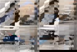 16 weeks’ jail for man who smuggled five Pomeranian puppies from Malaysia into Singapore in car boot