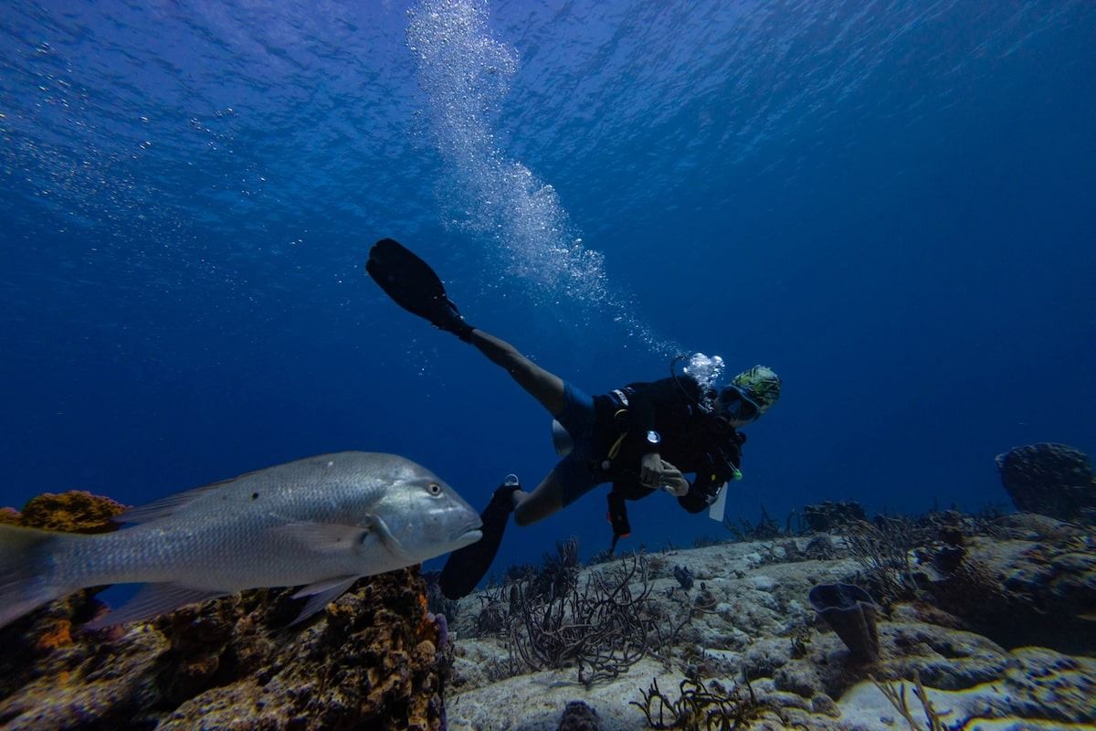 UN biodiversity treaty enters into force, aims to protect 30% of oceans by 2030