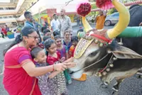 Day to pay homage to the humble cattle