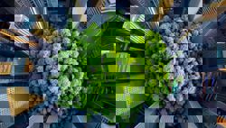 Breathing new life into forgotten spaces