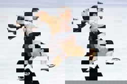 Figure skating-French duo Fournier Beaudry, Cizeron lead after rhythm dance on European debut