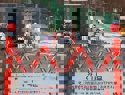 South Korea reports first African swine fever case in two months