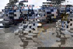 Indonesia tightens animal checks to prevent PPR virus entry