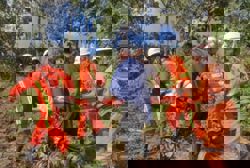 One dead, nine injured as passenger bus overturns and falls into ravine in Myanmar