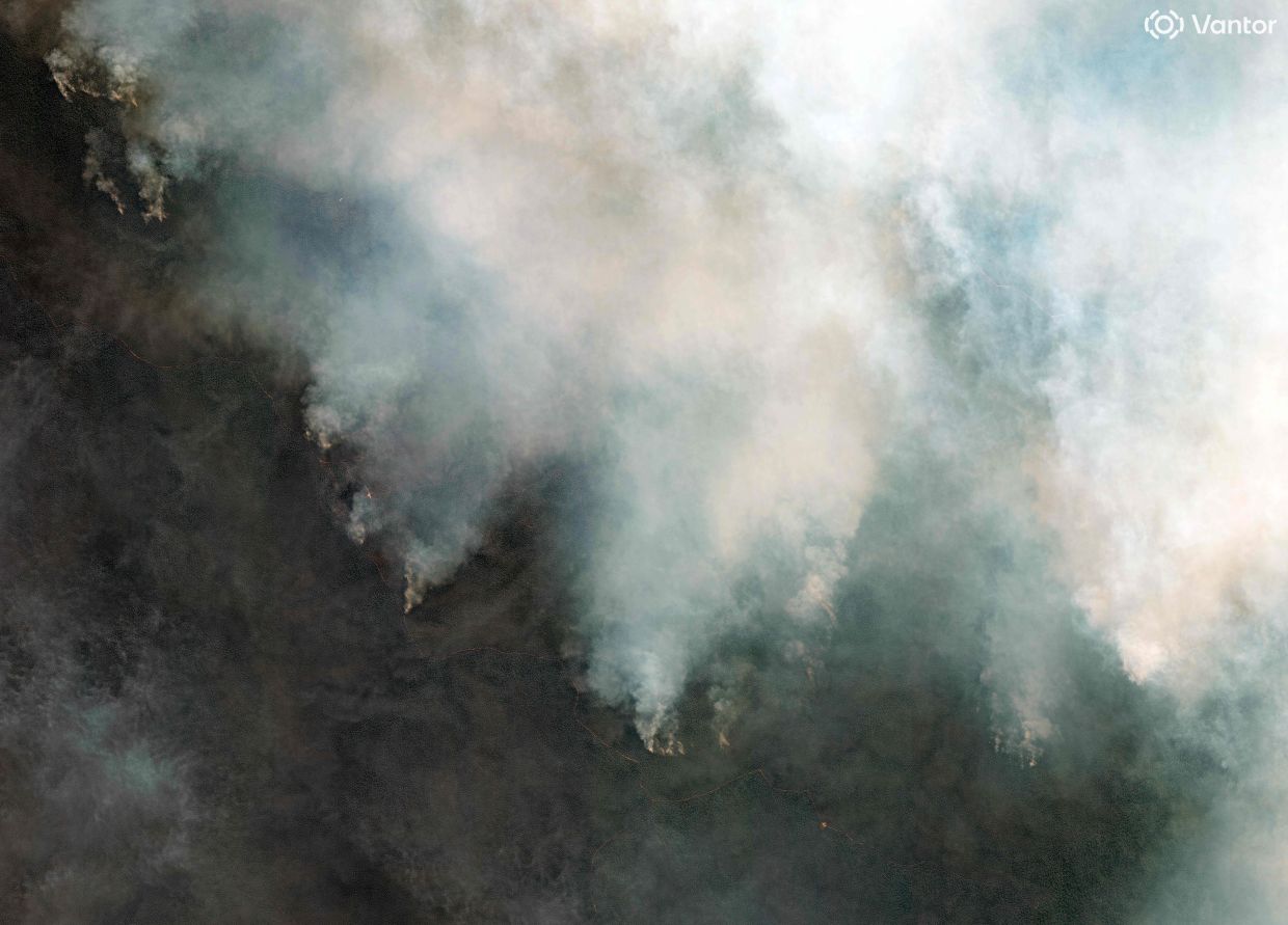 Smoke alert! Early detection cameras can prevent deadly bushfires in Australia