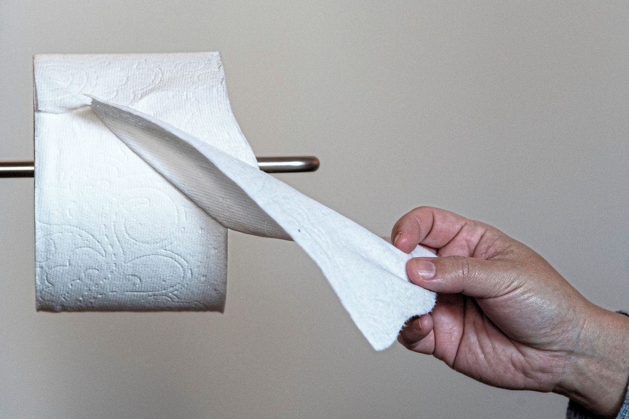 Wipe right: How to choose the right eco-friendly toilet paper