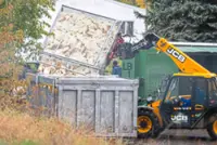 Bird flu and pets: What you need to know