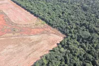 Just as damaging: Clearing small areas of rainforest has outsized climate impact