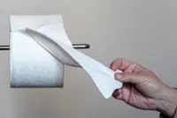 Wipe right: How to choose the right eco-friendly toilet paper