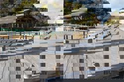 Japan’s ‘rabbit island’ considers introducing tourist tax following increased littering