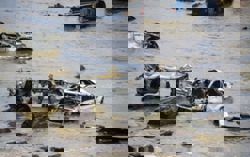 Heavy rains in eastern Australia spark flash floods, 20 rescued